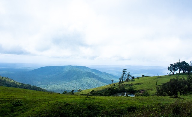 公牛遭遇了 公牛遭遇了