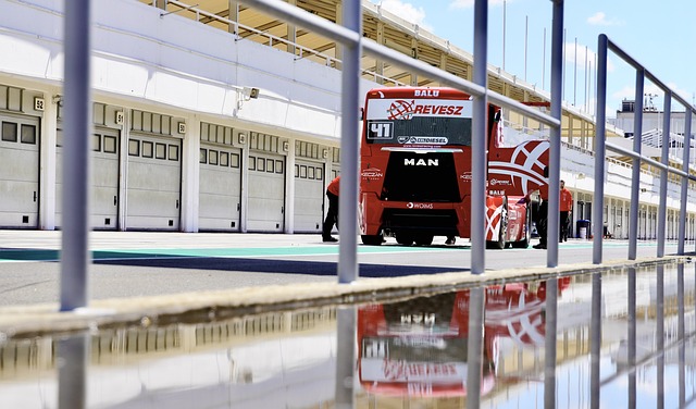 之间竞争的 之间竞争的