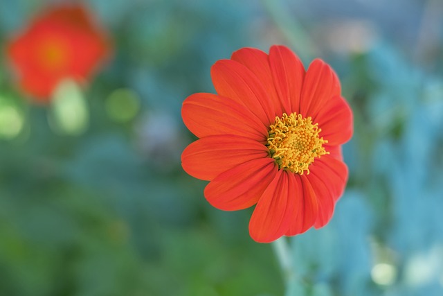 像哈登那样 像哈登那样