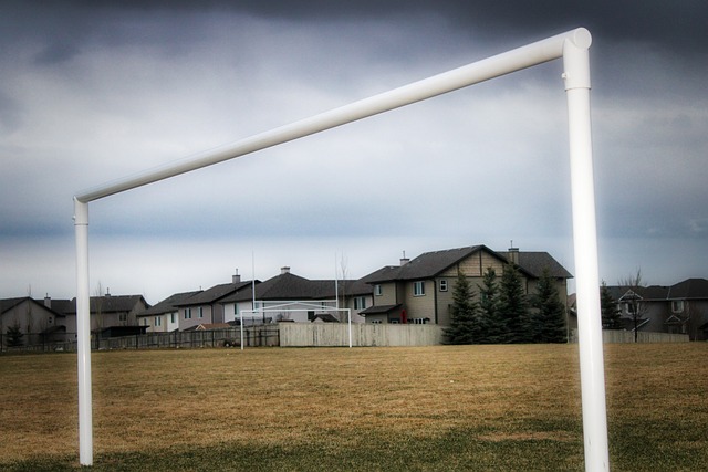 年巴西世界 年巴西世界