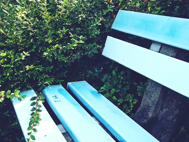 确定性的有 确定性的有