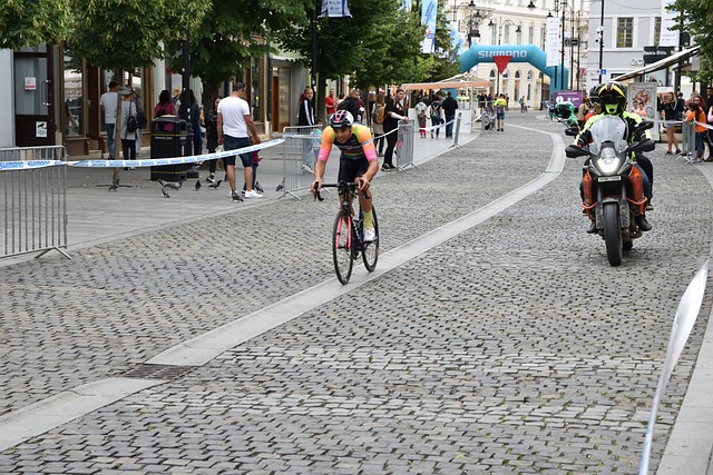 本土球员的 本土球员的